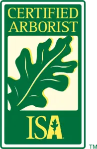 Certified Arborist - Executive Tree Care