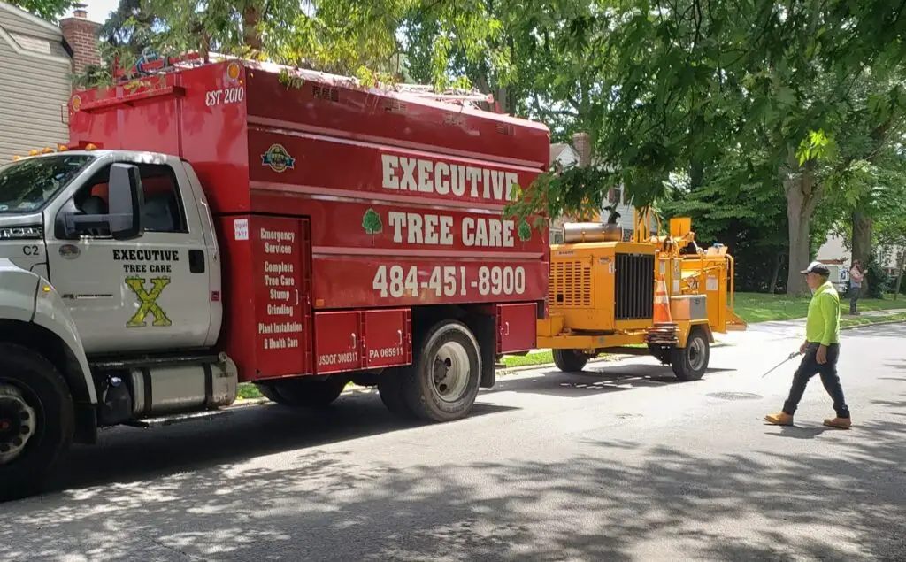 Executive Tree Equipment