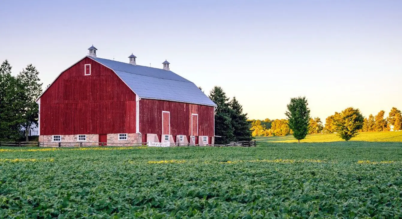 Montgomery County tree service