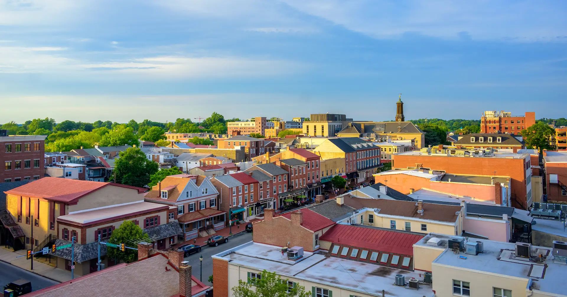 West Chester PA Tree
