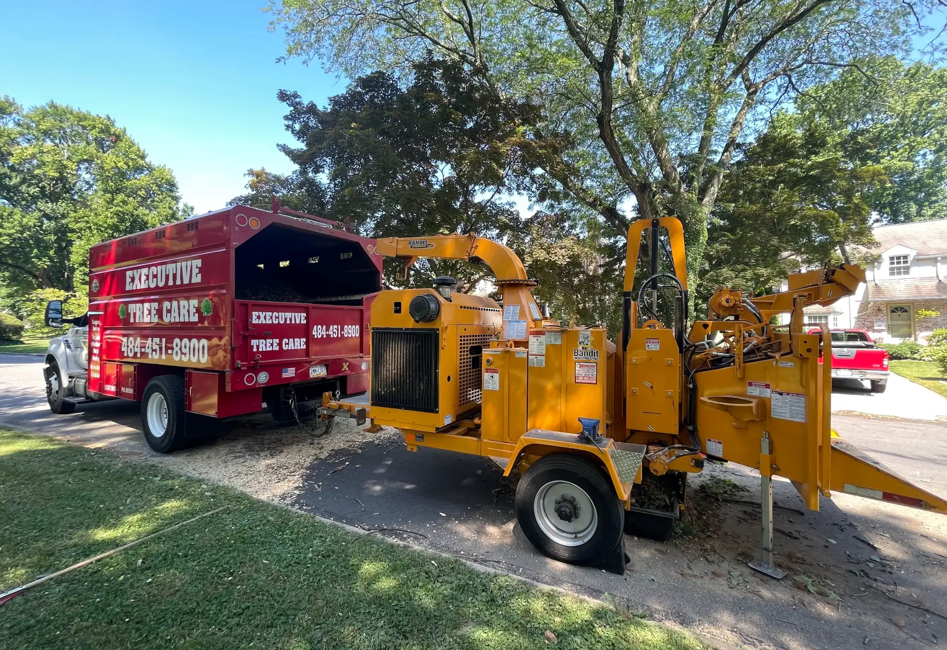 Blue Bell, PA Executive tree service