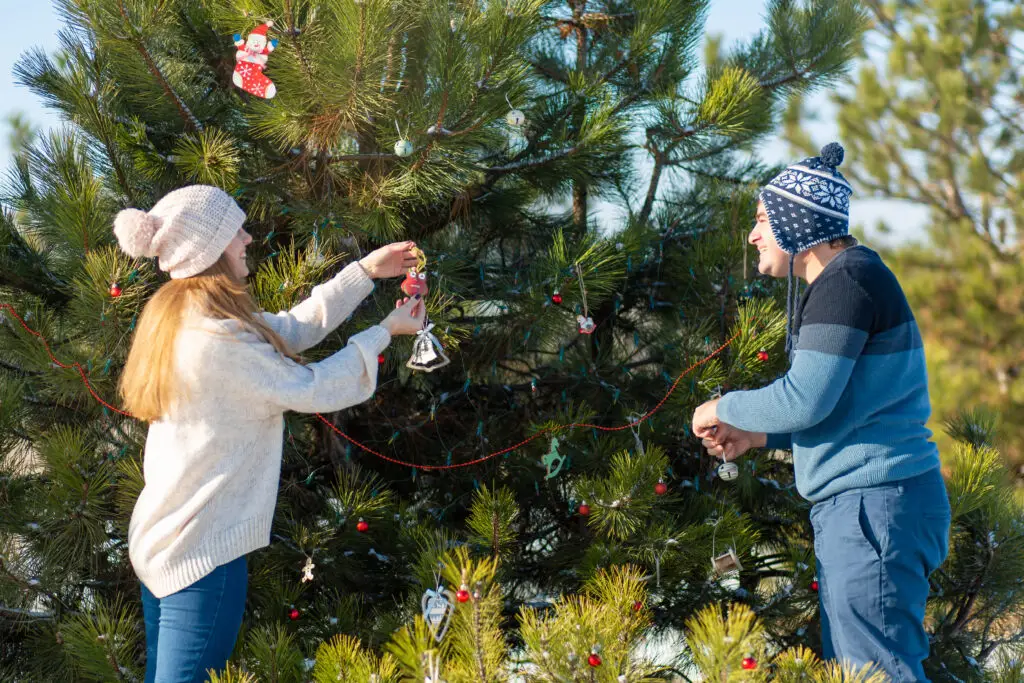a guy with a girl decorates a green Christmas tree on a street in the winter in the forest with decorative toys and garlands. Christmas tree decorations