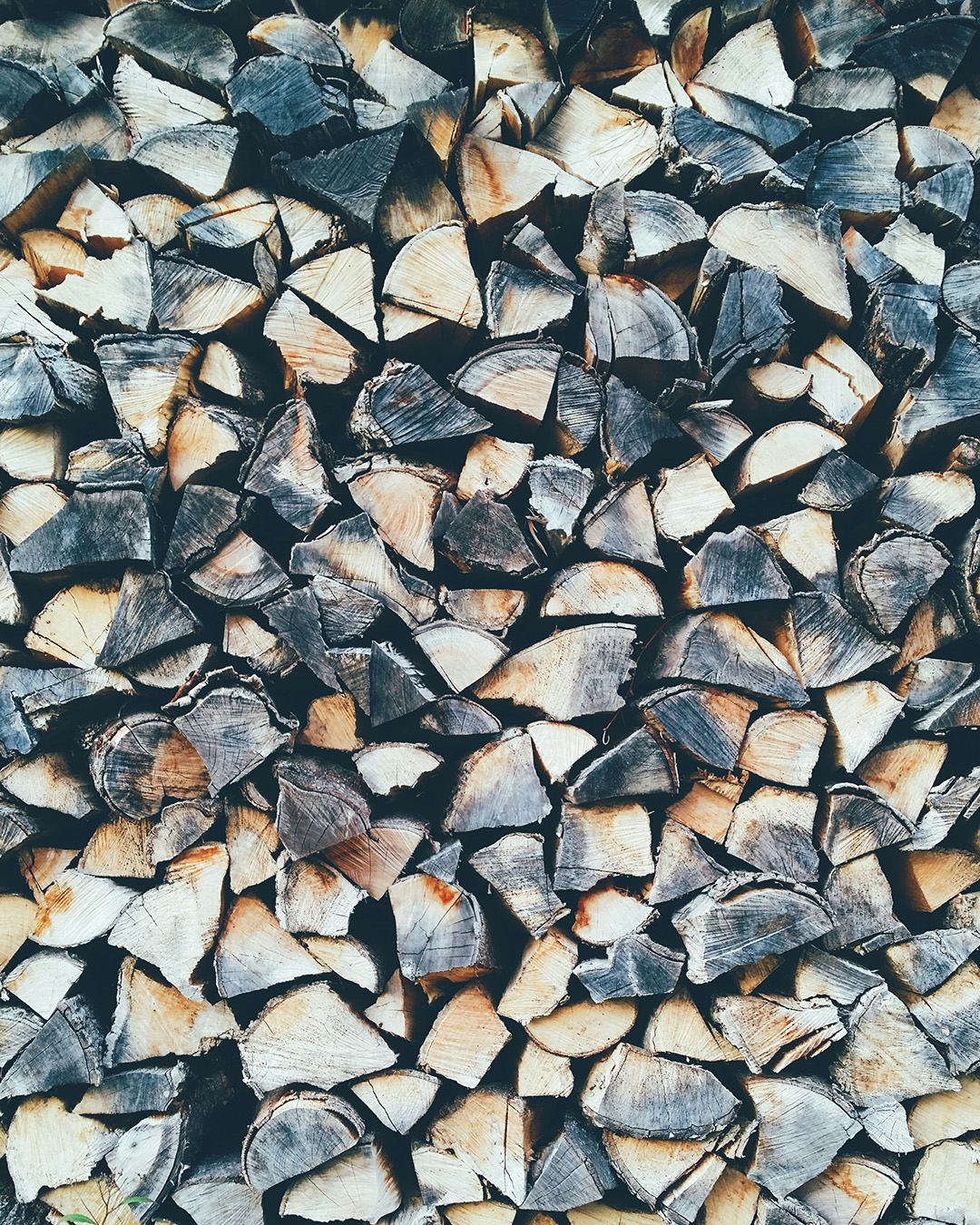 What to Look for When Choosing Firewood: A Quick Guide - Executive Tree ...