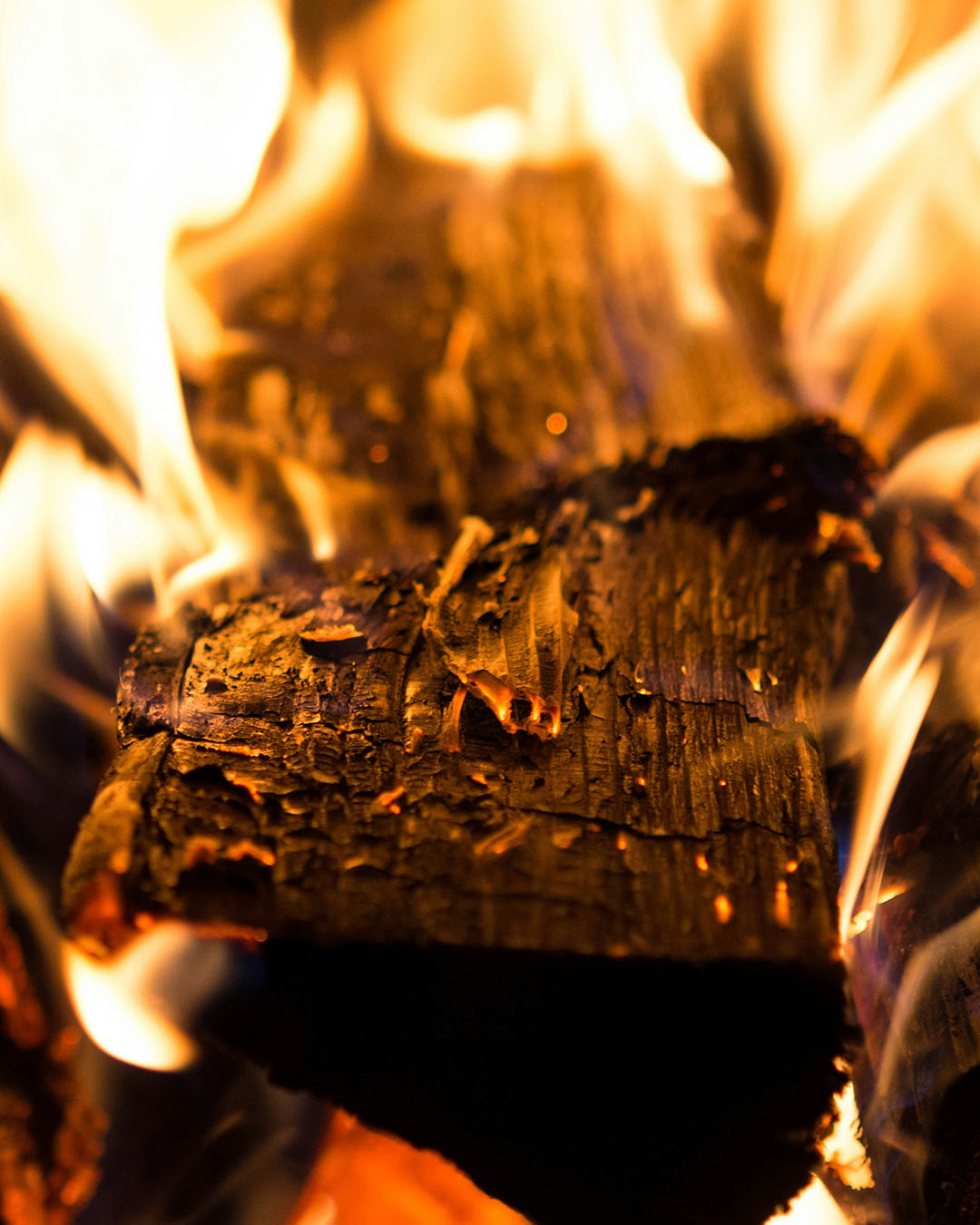 What is a Yule Log and Why is It Popular? - Executive Tree Care