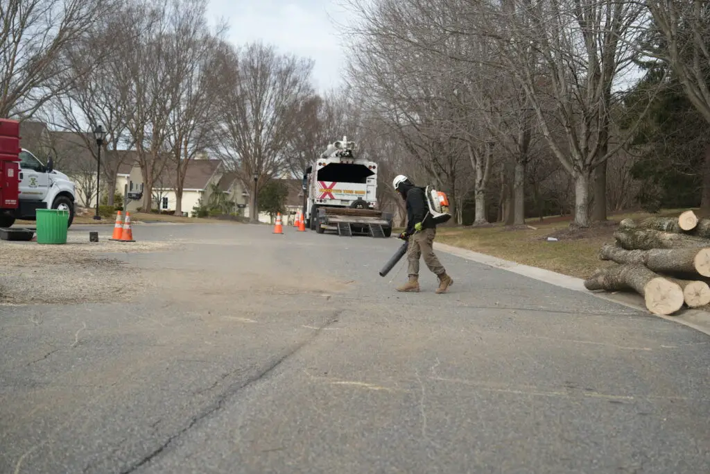 best_tree_service_delco_main_line