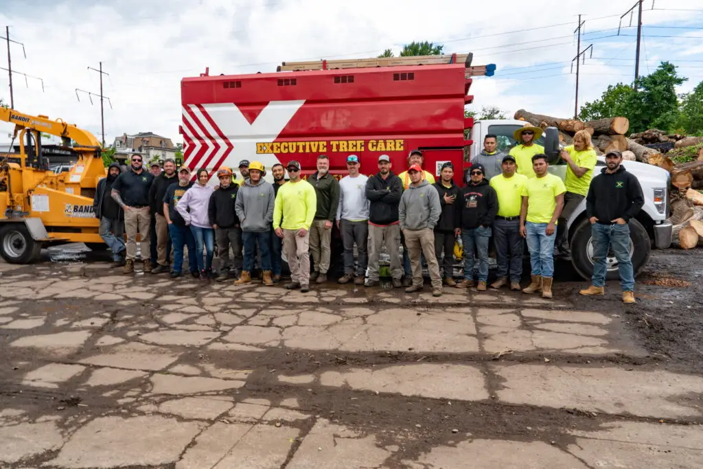 Tree_Care_Delco_Main_line