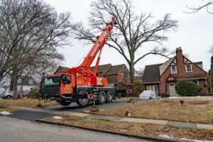 tree_removal_delco