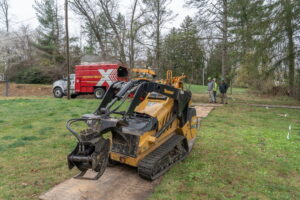 tree_care_service_drexel_hill