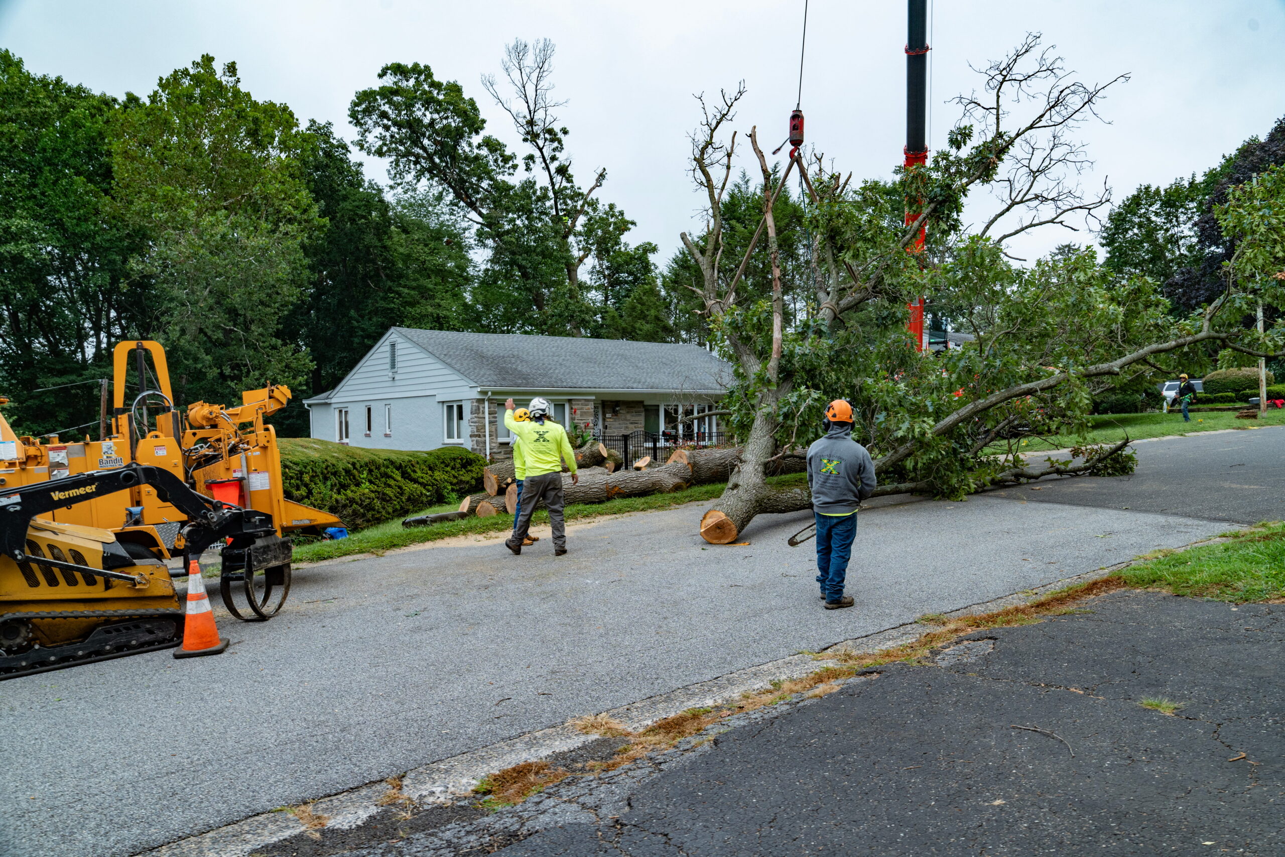 best_tree_removal_delco