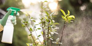 how to protect trees from pests
