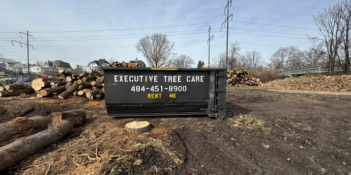 Executive Tree Care branded dumpster on a job site for wood waste removal and tree service in Drexel Hill, PA.