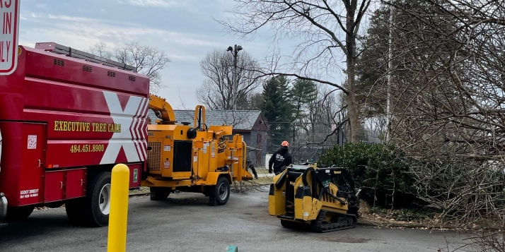 Executive Tree Care crew using a wood chipper and compact loader to clear brush and debris in Folcroft, PA.